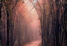 关于浓眉哥在RNG比赛中战术调整，败北引发热议！的信息