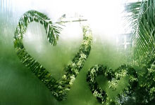 关于浓眉哥在RNG比赛中战术调整，败北引发热议！的信息